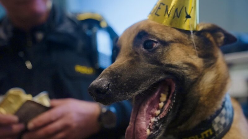 Bild: Amazon Web Services, Inc. or its affiliates.