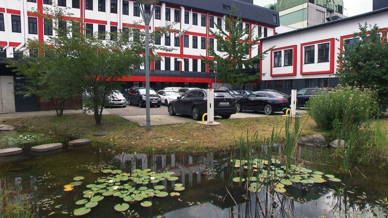  Für die Wiederansiedlung der Wechselkröte hat Takeda im Chemiepark ein Biotop errichtet. – Bild: ORF/​ORF-OÖ