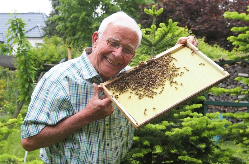 Harald Wulferding, leidenschaftlicher Imker, baut seine Bienenwaben und -kästen selbst. Der 82-Jährige liebt seine Bienen so sehr, dass er es im Winter kaum erwarten kann, im Mai wieder gestochen zu werden. – Bild: NDR/​Christian Pietscher