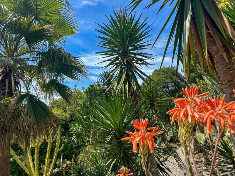 Die Villa Ephrussi de Rothschild, umgeben von neun Themengärten. – Bild: ORF/​Ralph Huber-Blechinger