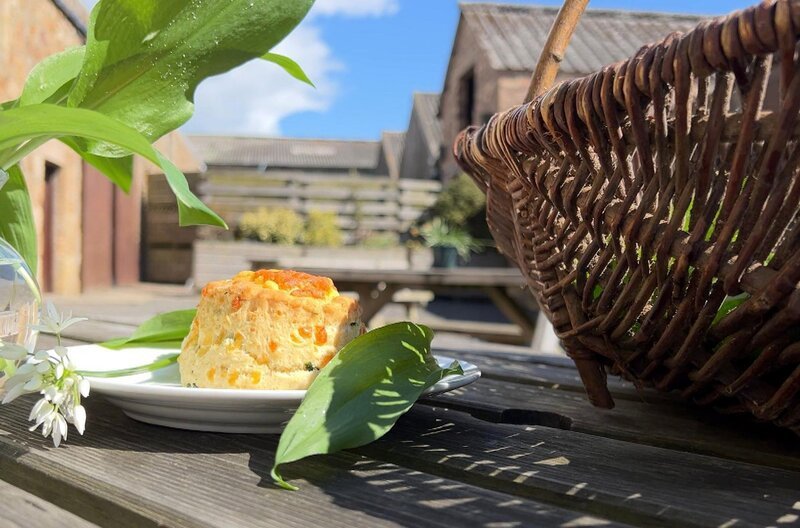 Cheddar-Scones aus Schottland – Bild: Elephant Doc