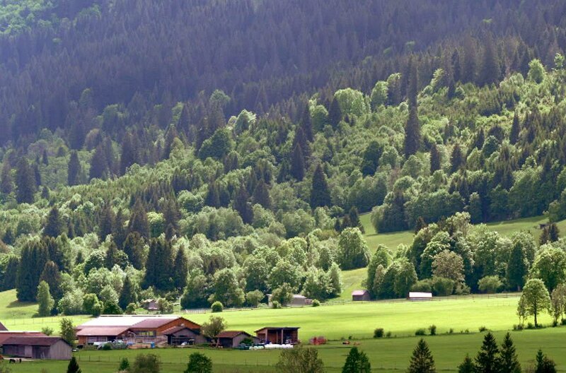 Die Malerin Marianne von Werefkin fand in München die Freiheit, neue Wege zu gehen und die von Männern dominierte Kunstszene zu revolutionieren. – Bild: ARTE F /​ Elephant Doc