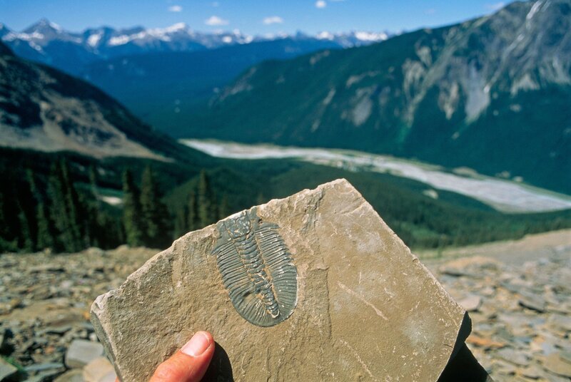 2RTEP0N Hand holding one of many trilobite fossils found at Yoho National Park’s Burgess Shale; British Columbia, Canada – Bild: Licensed by BOAT ROCKER RIGHTS, Inc.