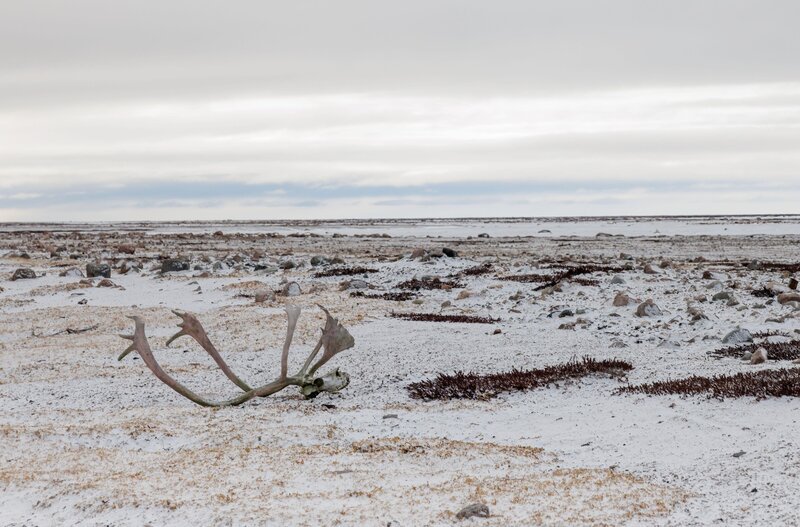 Bild: Licensed by BOAT ROCKER RIGHTS, Inc.