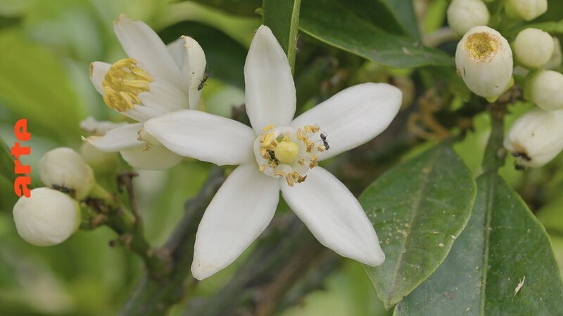 Bild: Julian Ringer /​ doc.station GmbH