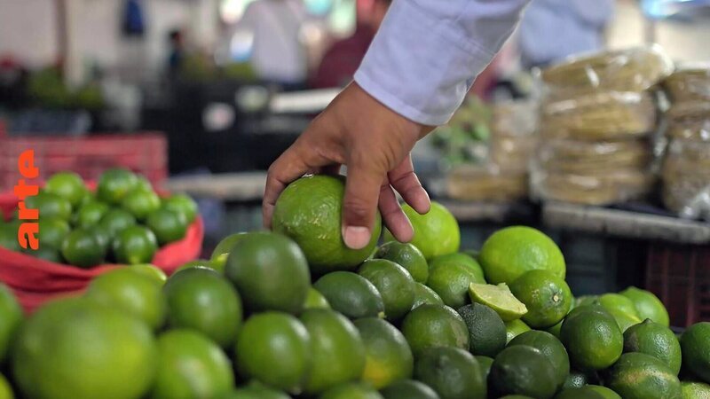 Bild: Tilo Hauke/​doc.station