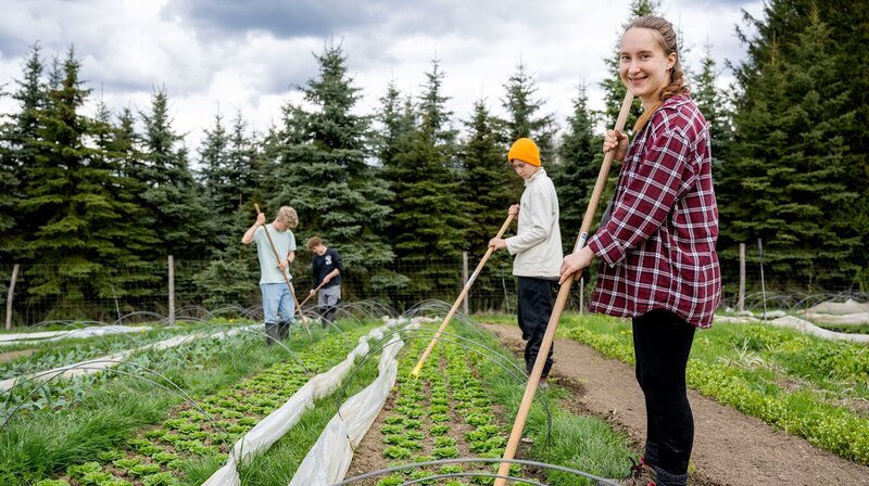 Marie Woeste arbeitet mit Praktikanten auf dem Feld. – Bild: NDR/​WDR/​Melanie Grande