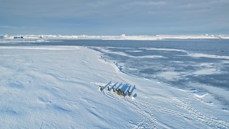 Bild: Licensed by BOAT ROCKER RIGHTS, Inc.