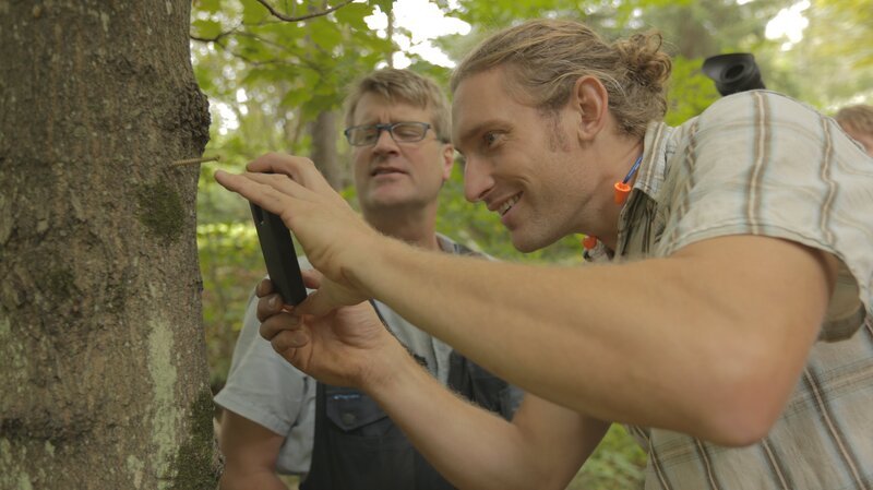 During the treehouse build in Poconos, Pennsylvania. – Bild: Discovery Communications