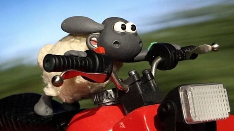 Timmy hat es ganz schön eilig. Hoffentlich geht das gut. – Bild: WDR/​Aardman Animation Ltd./​BBC