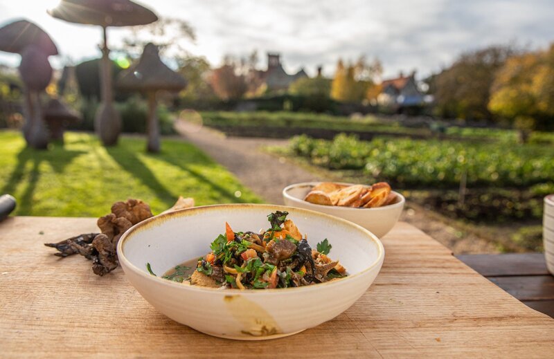 Pilze – Bild: RTL /​ Rock Oyster Media /​ Jahreszeiten