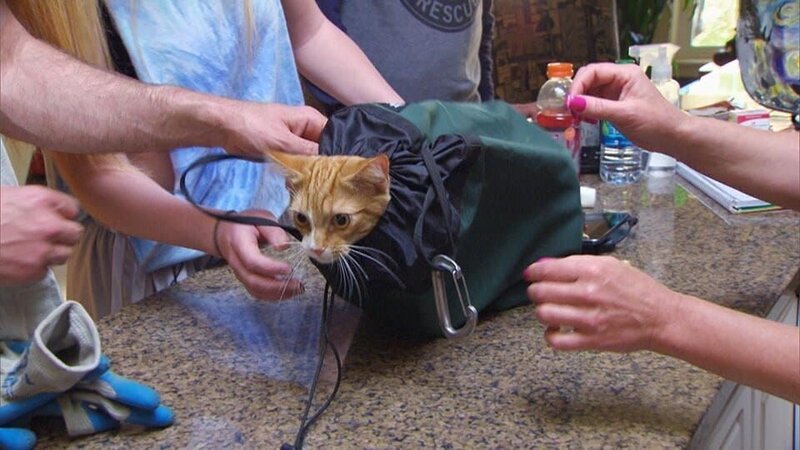 . – Bild: Warner Bros. Discovery