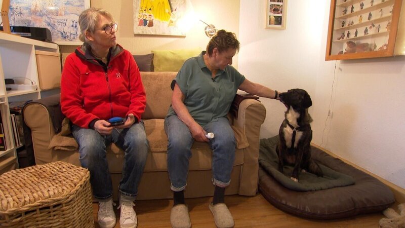 Mit viel Geduld arbeitet Tiertherapeutin Stefanie Hangen (l.) mit ihren vierbeinigen Patienten. Heute ist sie bei Gaby und ihrer Angsthündin Vika. – Bild: RTL /​ solisTV