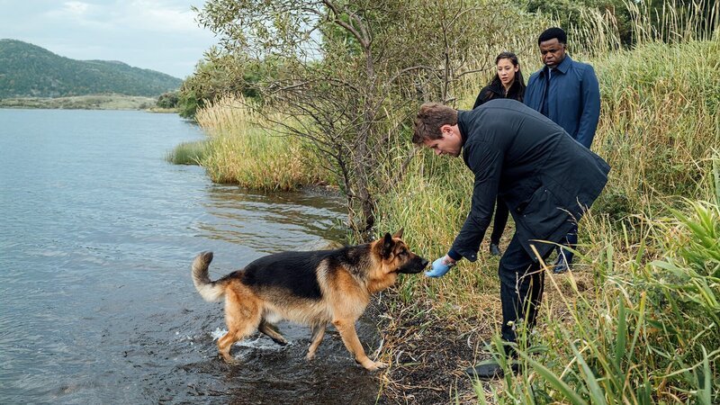 Bild: Shaftesbury /​ Pope Productions