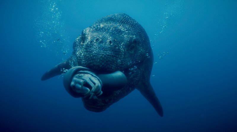 Der Mosasaurus war nicht nur stark, sondern entwickelte im Laufe der Evolution auch ausgefeilte Jagdstrategien, mit denen er zum Beispiel gezielt Ammoniten erbeuten konnte. Weiteres Bildmaterial finden Sie unter www.br-foto.de. – Bild: BR/​Autentic GmbH