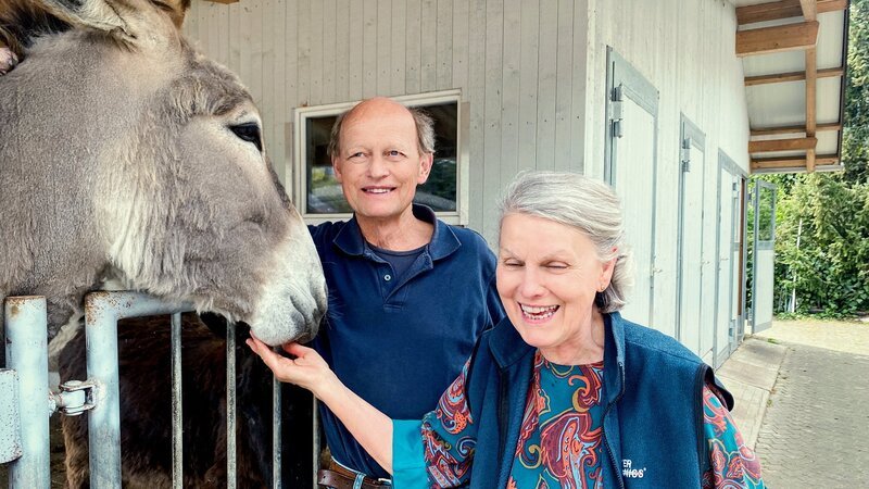 Bei Viktor und Hanni Huber haben 42 Esel im Zürcherischen Feldbach ein zu Hause gefunden. – Bild: SRF