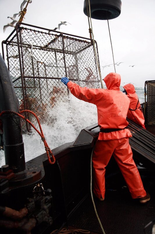 Shea Long throws hook and pulls pot over rail in big seas. – Bild: Discovery Communications