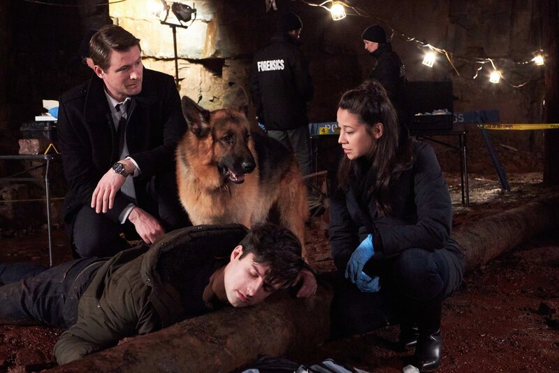 L-R: Charlie Hudson (John Reardon), Rex (Diesel vom Burgimwald), Jay Tomlinson (Jeff Sullivan), Sarah Truong (Mayko Nguyen) – Bild: OPTN