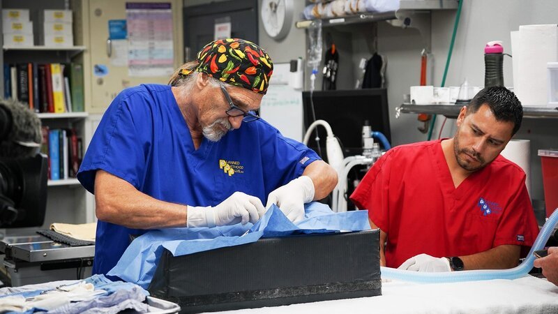 . – Bild: Warner Bros. Discovery