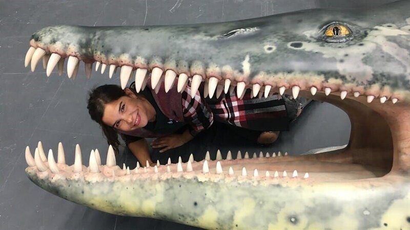 Die gigantischen Meeressaurier 1; © BR/​BILD+TEXT Medienproduktion GmbH & Co. KG./​Ben Wolter – Honorarfreie Verwendung gemäß AGB im redaktionellen Zusammenhang mit genannter Sendung bei Nennung „Bild: BR/​BILD+TEXT Medienproduktion GmbH & Co. KG/​Ben Wolter“ – Bild: BR/​BILD+TEXT Medienproduktion GmbH & Co. KG/​Ben Wolter/​KiKA