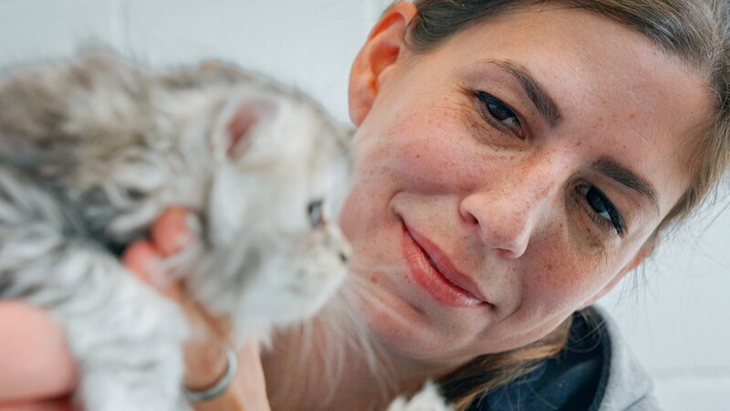 Caroline Bohler bei der Arbeit in der Tierarztpraxis – Bild: SRF