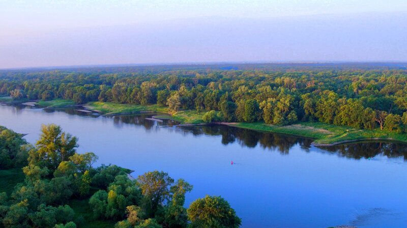 In der Mitte Sachsen Anhalts erhebt sich sanft aus dem Elbtal Deutschlands Amazonas – die Wasserwälder der Mittelelbe. – Bild: MDR/​Stefan Simank