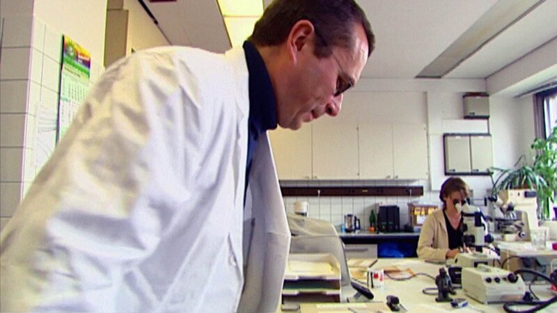 . – Bild: Foto: RTL