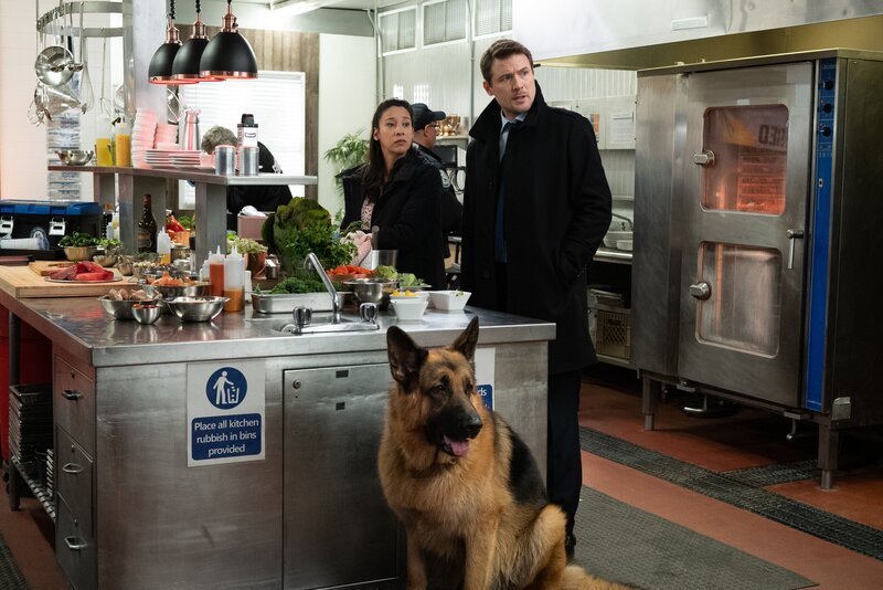 l-r: Sarah Truong (Mayko Nguyen), Rex (Diesel vom Burgimwald) und Charlie Hudson (John Reardon) – Bild: OPTN