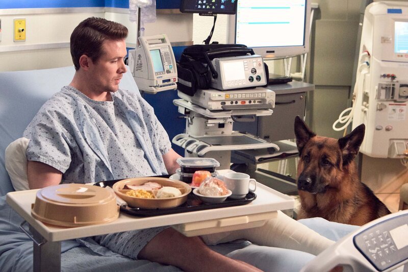 Detective Charlie Hudson (JOHN REARDON) und Rex (DIESEL VOM BURGIMWALD) – Bild: OPTN