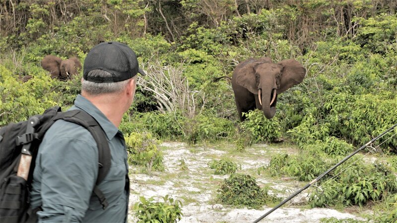 Bild: Licensed by Banijay Rights Limited Lizenzbild frei