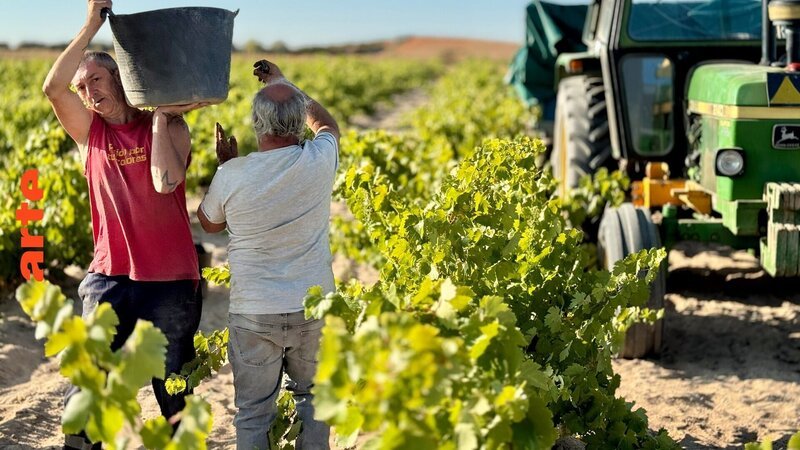 Bild: Juan Ignacio Garcia Felipe