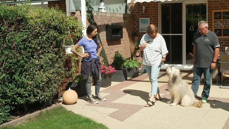 V.l.: Trainerin Ellen Marques, Erika, Schafpudel Ivy und Wolfgang. – Bild: TVNOW /​ Mina Tv