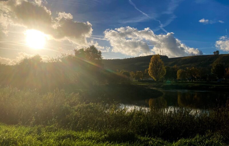 Der Steigerwald. – Bild: Alica Reisner /​ BR /​ Bewegte Zeiten Filmproduktion GmbH