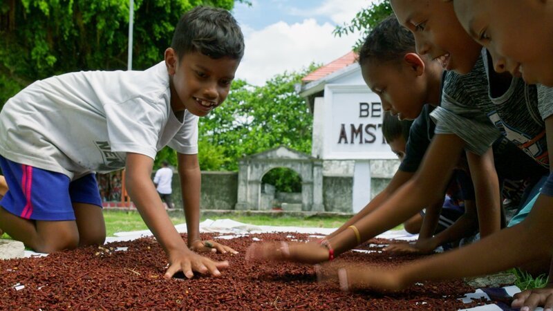 Kinder trocknen Nelken – Bild: SRF/​Autentic