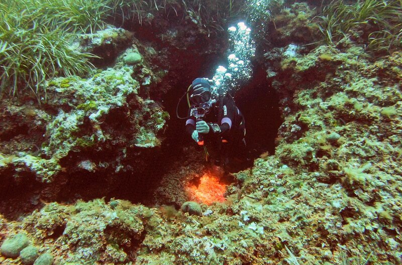 Rund um die Insel San Pietro gibt es unter Wasser Rinnen, Felswände und Höhlen: eine spannende Unterwasserwelt für Taucher. – Bild: Lür Wangenheim