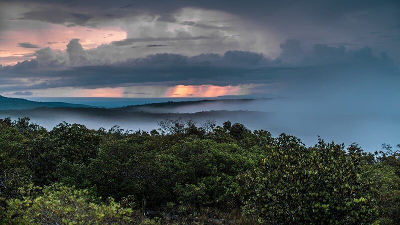 The Serrania de la Macarena. Closed off from the world and covering over 3,800 sq kms ….it’s a magical jungle, hidden in one of the remotest parts of Colombia. It has, at it’s heart, one of the oldest mountains in the world, a huge outcropping of sandstone, over 2,600 meters high and 400 million years old (Photo credit: © Andy Moorwood) – Bild: National Geographic Channel
