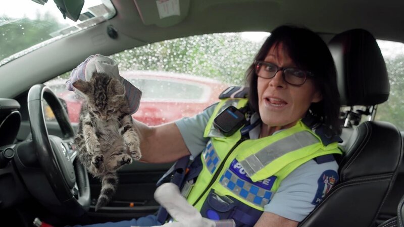 Bild: Greenstone TV Lizenzbild frei