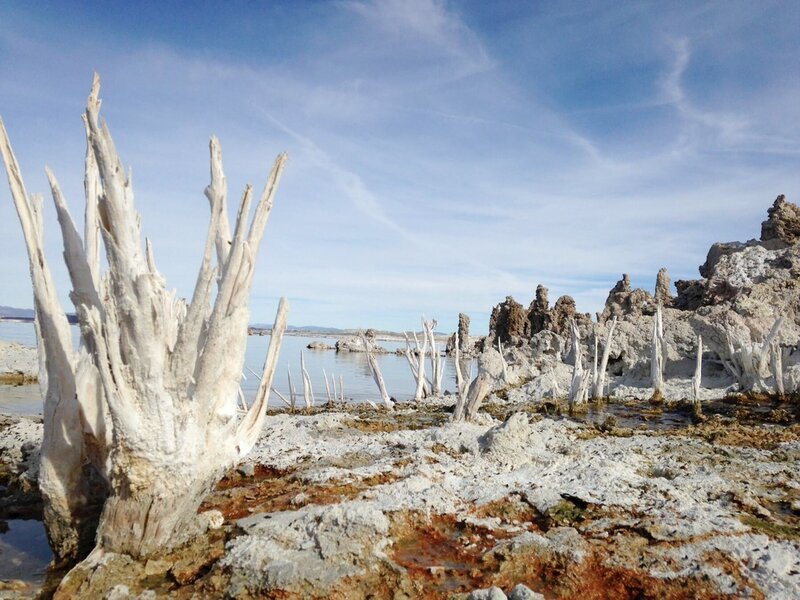 Spektakuläre Landschaft im Yellowstone-Nationalpark – Bild: La Compagnie des Taxi-Brousse
