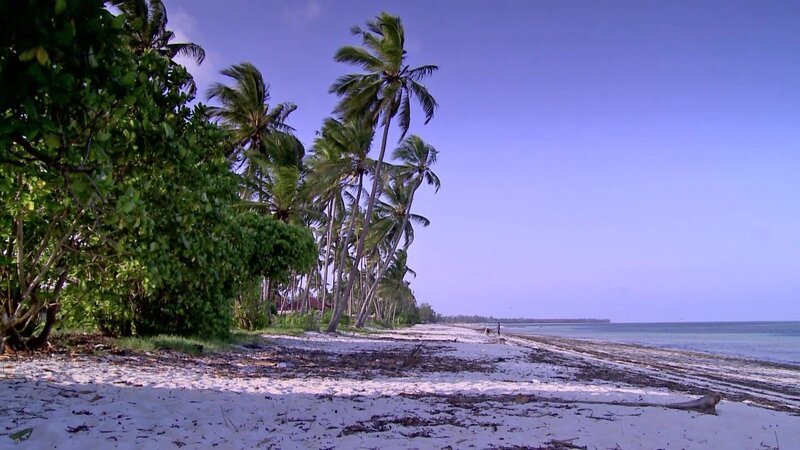 Sandstrand der Insel Sansibar – Bild: Bibel TV