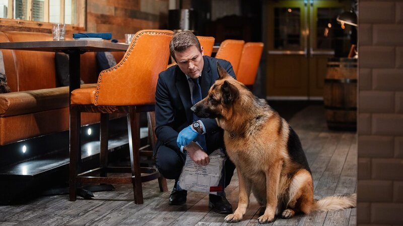 Bild: Shaftesbury /​ Pope Productions