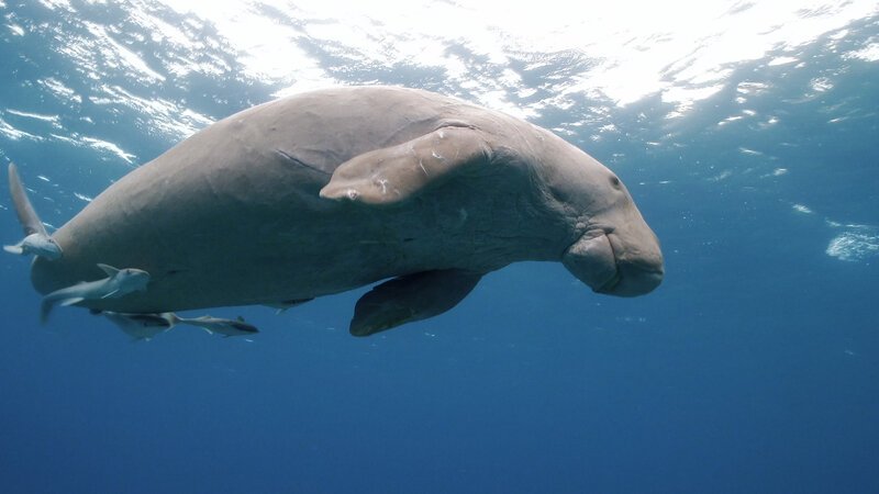 Bild: INSIGHT HD Bild: INSIGHT HD