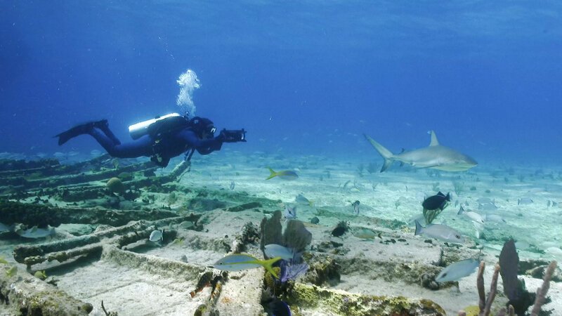 Bild: INSIGHT HD Bild: INSIGHT HD