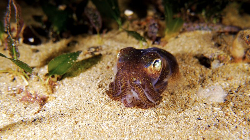 Bild: INSIGHT HD Bild: INSIGHT HD