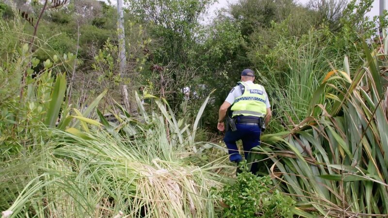 Bild: Greenstone TV Lizenzbild frei