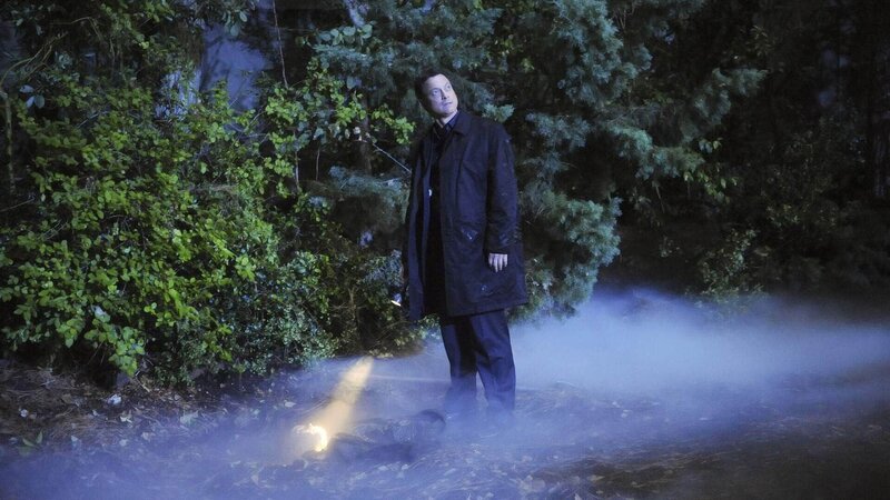 Die Ermittlungen im Fall der toten Frau aus dem Central Park nehmen noch größere Ausmaße an. Mac (Gary Sinise) ertappt im Park einen maskierten Mann bei dem Versuch, eine weitere Frauenleiche auszugraben. – Bild: TVNOW /​ CBS