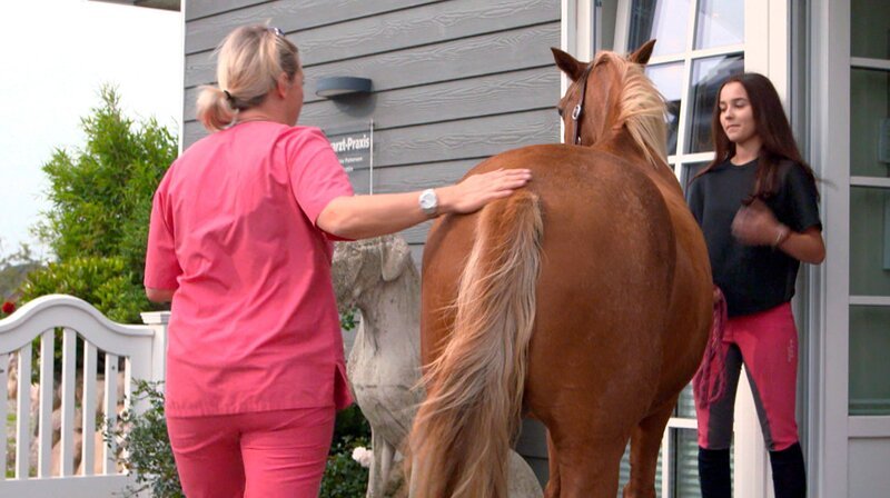 Stephanie Petersen muss das Pony Prinzessin vor der Praxis impfen. – Bild: NDR/​Doclights GmbH 2019