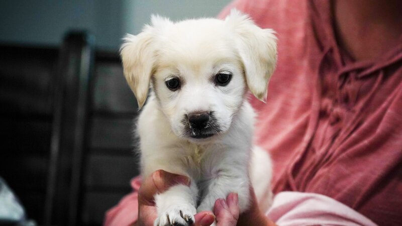 . – Bild: Warner Bros. Discovery