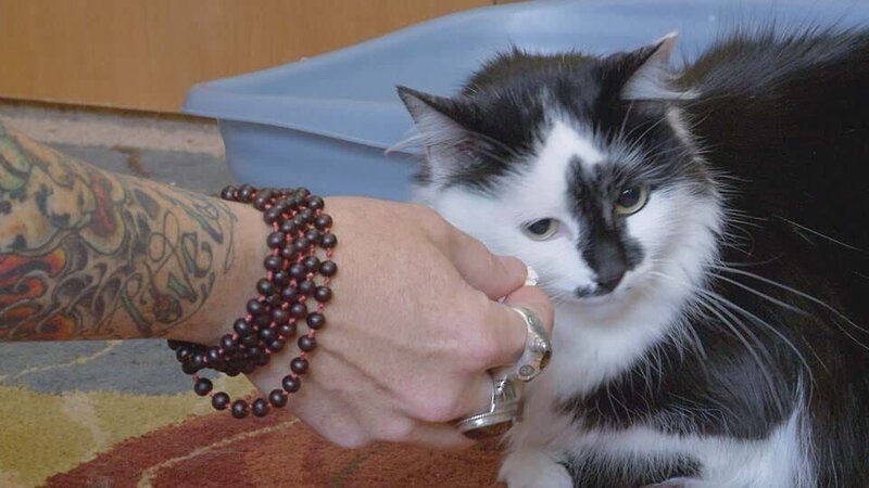 . – Bild: Warner Bros. Discovery