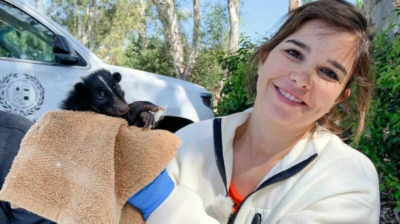 Das Stinktierweibchen wacht langsam auf und wird bald freigelassen. – Bild: BR/​Text und Bild Medienproduktion GmbH & Co. KG