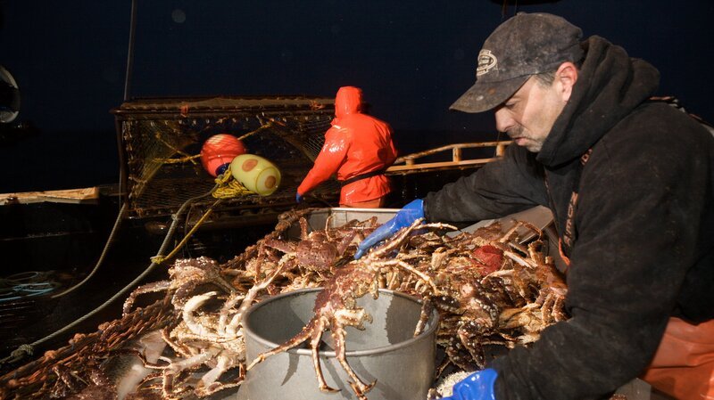 Bild: Discovery Communications/​Corey Arnold